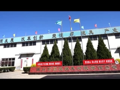 Parti di plastica dello stampaggio ad iniezione