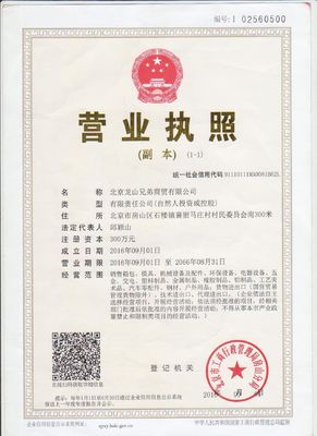 100% di gomma gomma siliconica per stampi di plastica di lavorazione di stampi di accessori di casa elettrodomestici di fabbricazione di stampaggio a iniezione