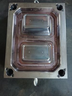 Stampo per iniezione in plastica per cucina su misura per tazze/scatole/basse/cucchiaini ABS/PP/PA/PA6/PA6 GF/POM/HDPE/policarbonato/PMMA/PET/PVC