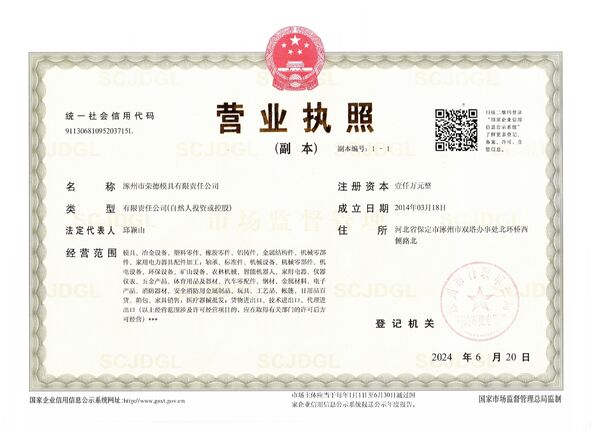 Cina Zhuozhou Rongde Mould Co., Ltd Certificazioni